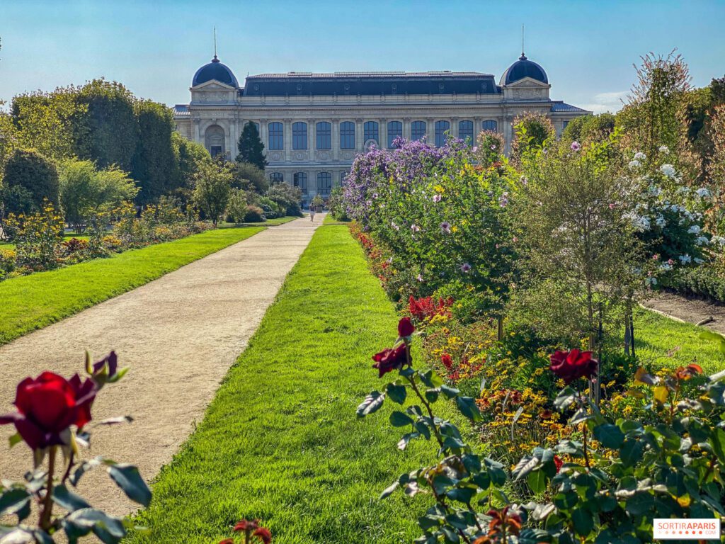 Jardin des plantes